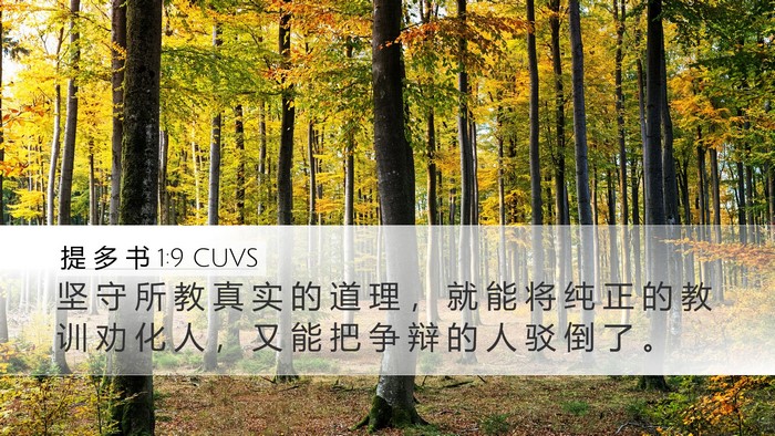 提 多 书 1:9 CUVS Bible Verse Image