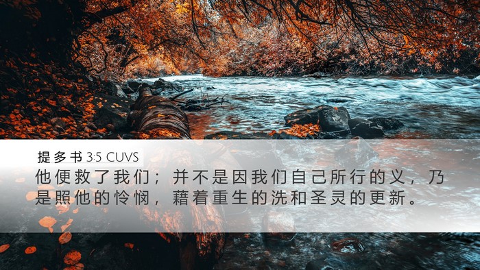 提 多 书 3:5 CUVS Bible Verse Image