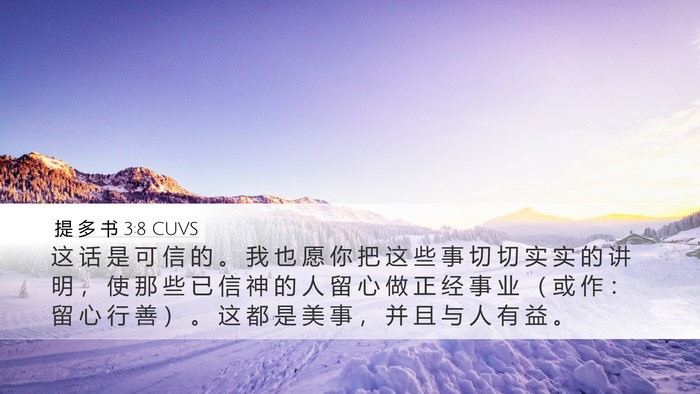 提 多 书 3:8 CUVS Bible Verse Image