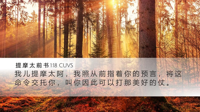 提 摩 太 前 书 1:18 CUVS Bible Verse Image