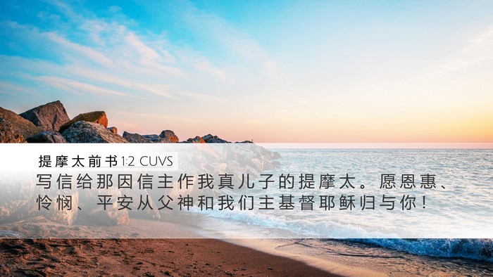 提 摩 太 前 书 1:2 CUVS Bible Verse Image