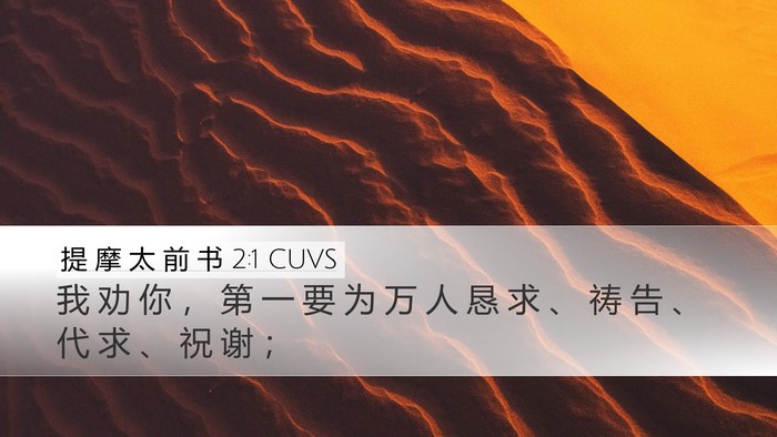 提 摩 太 前 书 2:1 CUVS Bible Verse Image