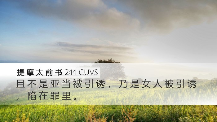 提 摩 太 前 书 2:14 CUVS Desktop Wallpaper - 且 不 是 亚 当 被 引 诱 ， 乃 是 女 - Desktop Bible Verse Wallpaper