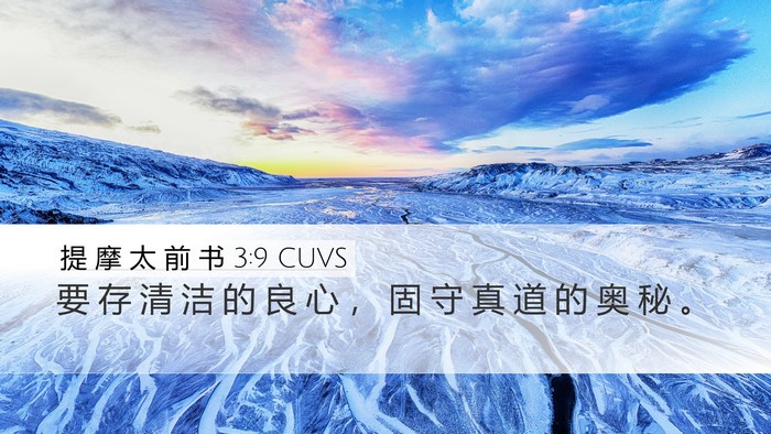 提 摩 太 前 书 3:9 CUVS Desktop Wallpaper - 要 存 清 洁 的 良 心 ， 固 守 真 道 - Desktop Bible Verse Wallpaper