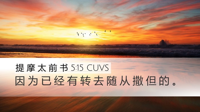提 摩 太 前 书 5:15 CUVS Desktop Wallpaper - 因 为 已 经 有 转 去 随 从 撒 但 的 - Desktop Bible Verse Wallpaper