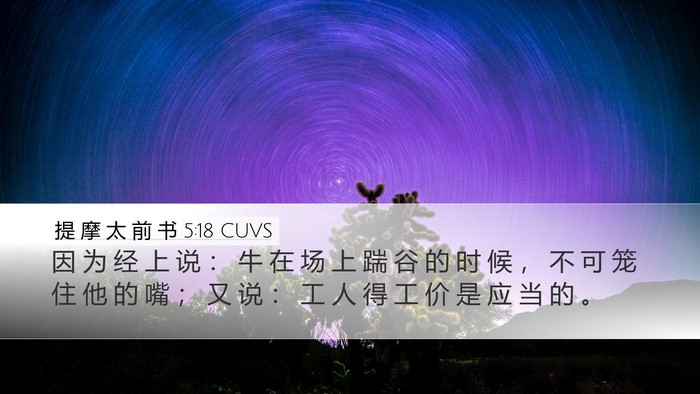 提 摩 太 前 书 5:18 CUVS Desktop Wallpaper - 因 为 经 上 说 ： 牛 在 场 上 踹 谷 - Desktop Bible Verse Wallpaper
