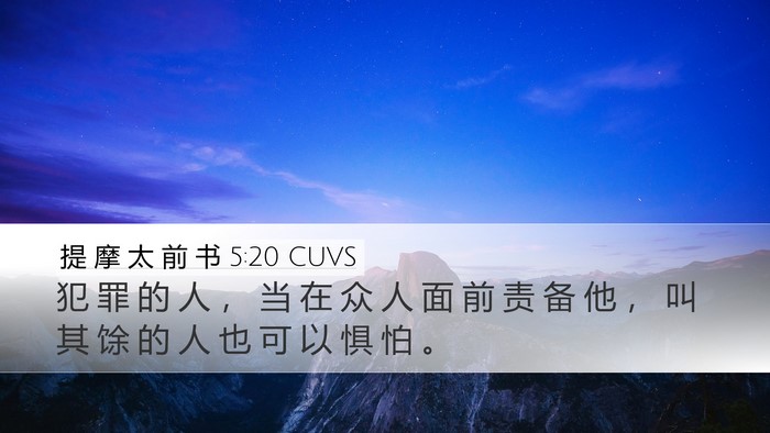 提 摩 太 前 书 5:20 CUVS Bible Verse Image