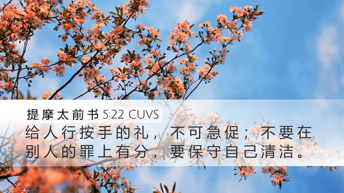 提 摩 太 前 书 5:22 CUVS Bible Verse Image