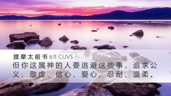 提 摩 太 前 书 6:11 CUVS Bible Verse Image
