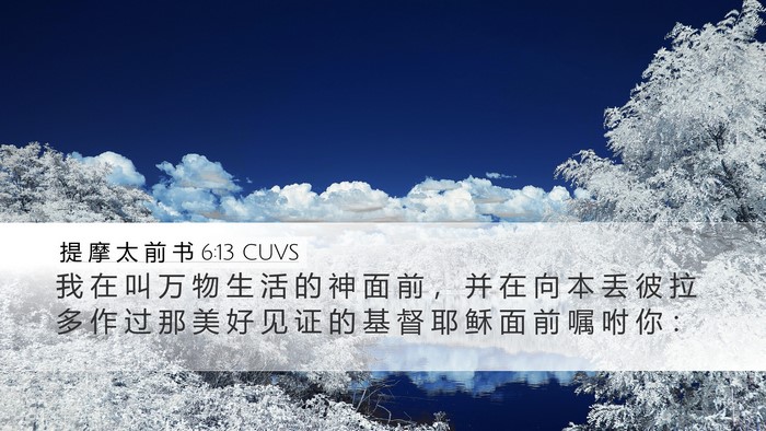提 摩 太 前 书 6:13 CUVS Bible Verse Image