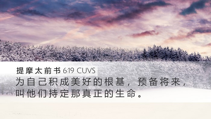 提 摩 太 前 书 6:19 CUVS Bible Verse Image