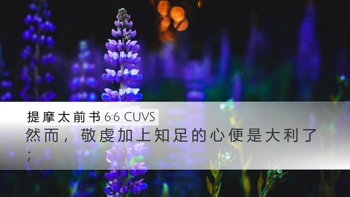 提 摩 太 前 书 6:6 CUVS Bible Verse Image