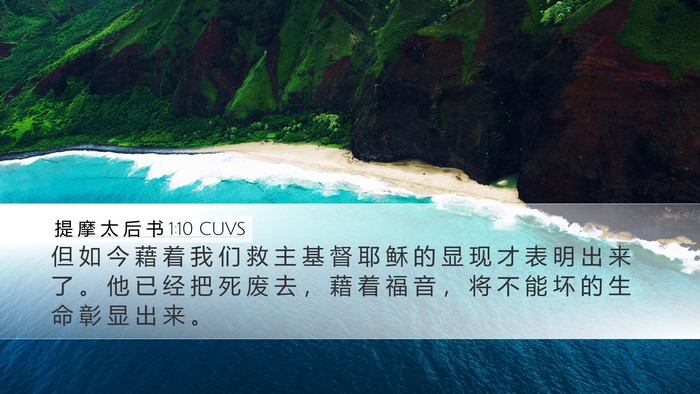 提 摩 太 后 书 1:10 CUVS Bible Verse Image