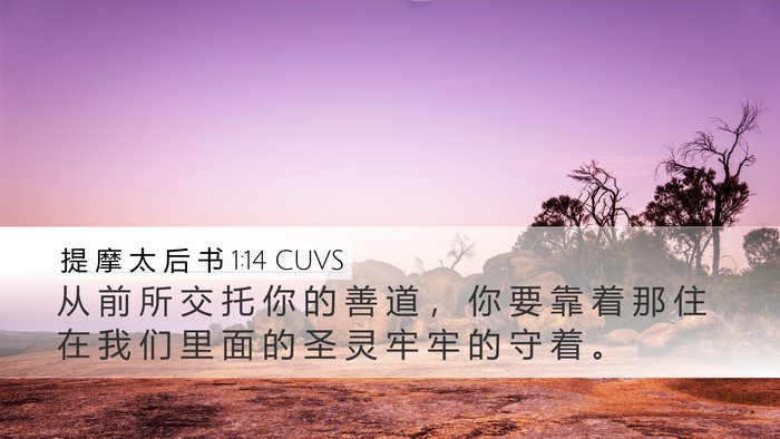 提 摩 太 后 书 1:14 CUVS Desktop Wallpaper - 从 前 所 交 托 你 的 善 道 ， 你 要 - Desktop Bible Verse Wallpaper