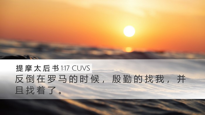 提 摩 太 后 书 1:17 CUVS Bible Verse Image