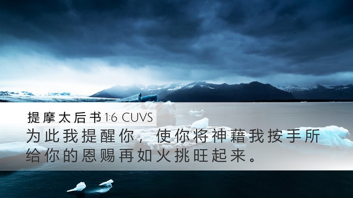 提 摩 太 后 书 1:6 CUVS Bible Verse Image