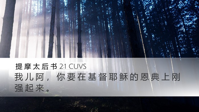 提 摩 太 后 书 2:1 CUVS Bible Verse Image