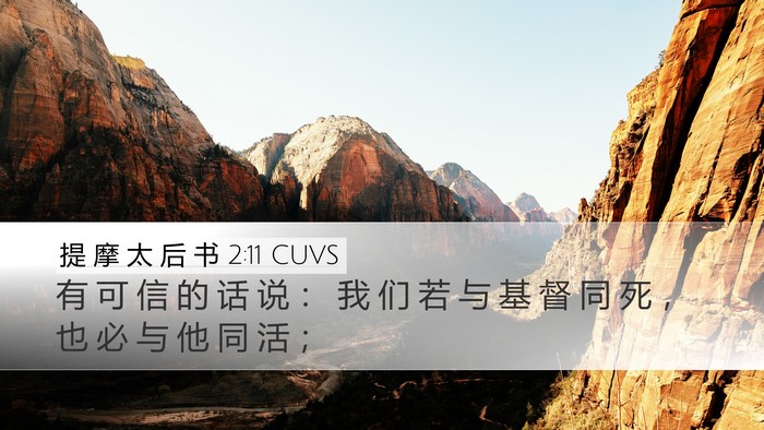 提 摩 太 后 书 2:11 CUVS Desktop Wallpaper - 有 可 信 的 话 说 ： 我 们 若 与 基 - Desktop Bible Verse Wallpaper