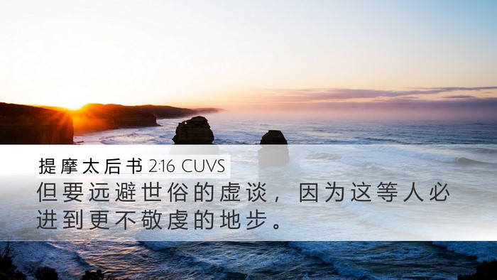 提 摩 太 后 书 2:16 CUVS Bible Verse Image