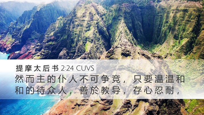 提 摩 太 后 书 2:24 CUVS Bible Verse Image