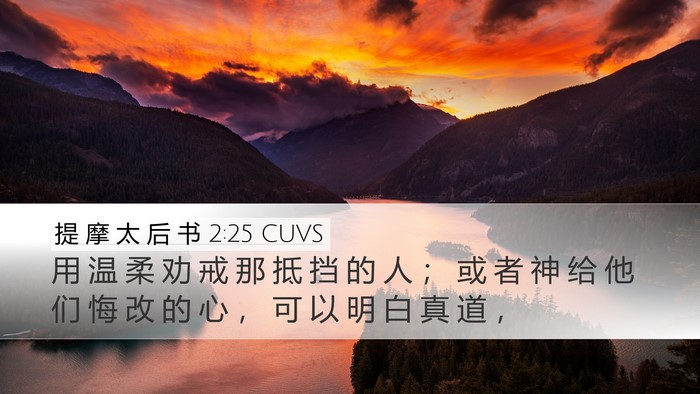提 摩 太 后 书 2:25 CUVS Bible Verse Image