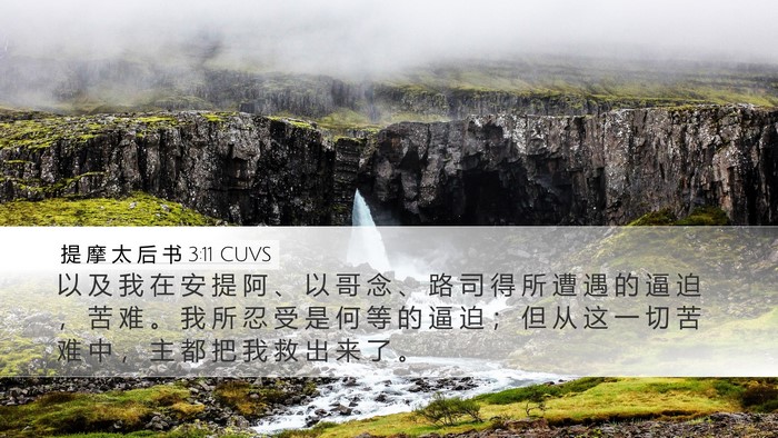 提 摩 太 后 书 3:11 CUVS Bible Verse Image