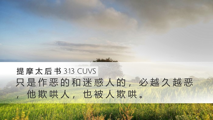 提 摩 太 后 书 3:13 CUVS Bible Verse Image