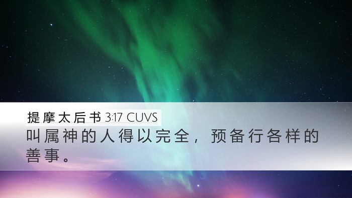 提 摩 太 后 书 3:17 CUVS Desktop Wallpaper - 叫 属 神 的 人 得 以 完 全 ， 预 备 - Desktop Bible Verse Wallpaper