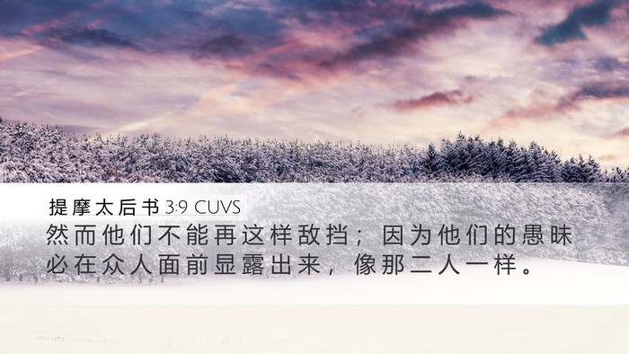 提 摩 太 后 书 3:9 CUVS Desktop Wallpaper - 然 而 他 们 不 能 再 这 样 敌 挡 ； - Desktop Bible Verse Wallpaper
