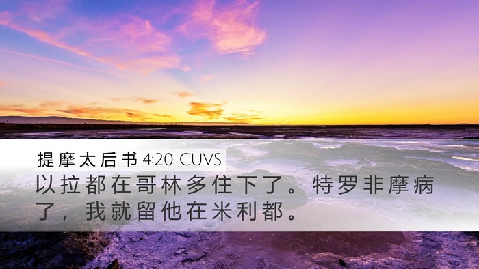 提 摩 太 后 书 4:20 CUVS Desktop Wallpaper - 以 拉 都 在 哥 林 多 住 下 了 。 特 - Desktop Bible Verse Wallpaper