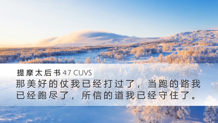提 摩 太 后 书 4:7 CUVS Bible Verse Image