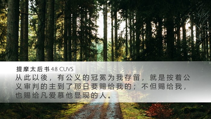 提 摩 太 后 书 4:8 CUVS Bible Verse Image