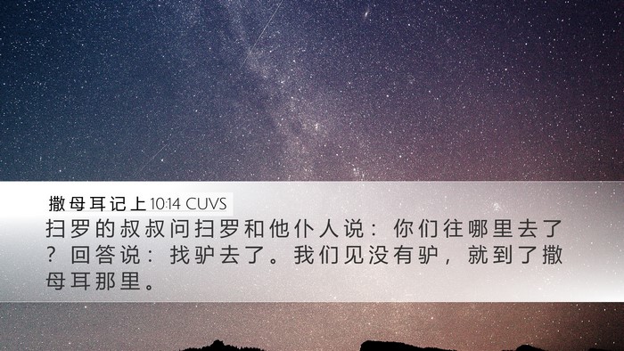 撒 母 耳 记 上 10:14 CUVS Desktop Wallpaper - 扫 罗 的 叔 叔 问 扫 罗 和 他 仆 人 - Desktop Bible Verse Wallpaper