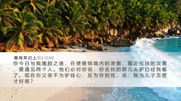 撒 母 耳 记 上 10:2 CUVS Bible Verse Image
