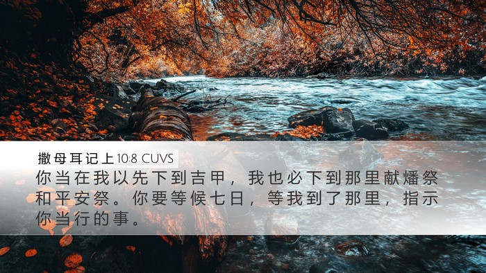 撒 母 耳 记 上 10:8 CUVS Bible Verse Image
