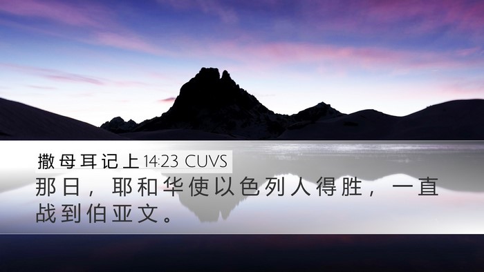 撒 母 耳 记 上 14:23 CUVS Bible Verse Image