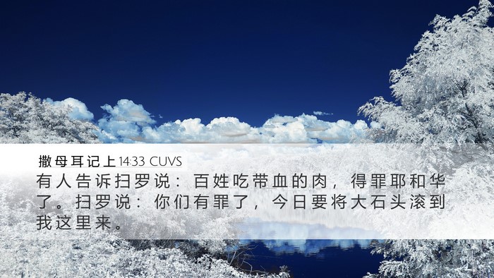 撒 母 耳 记 上 14:33 CUVS Bible Verse Image