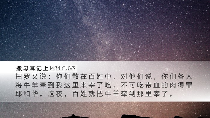撒 母 耳 记 上 14:34 CUVS Desktop Wallpaper - 扫 罗 又 说 ： 你 们 散 在 百 姓 中 - Desktop Bible Verse Wallpaper