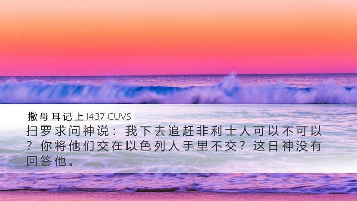 撒 母 耳 记 上 14:37 CUVS Bible Verse Image