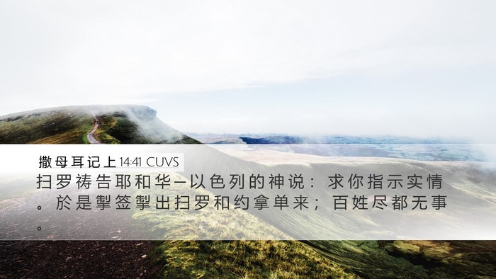 撒 母 耳 记 上 14:41 CUVS Bible Verse Image