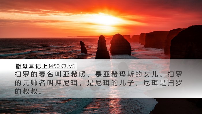 撒 母 耳 记 上 14:50 CUVS Bible Verse Image