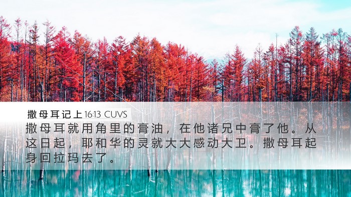 撒 母 耳 记 上 16:13 CUVS Bible Verse Image