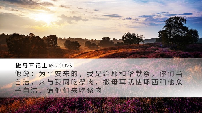 撒 母 耳 记 上 16:5 CUVS Desktop Wallpaper - 他 说 ： 为 平 安 来 的 ， 我 是 给 - Desktop Bible Verse Wallpaper