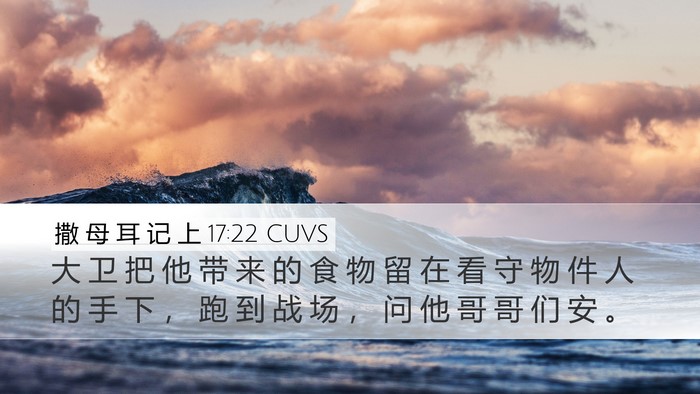 撒 母 耳 记 上 17:22 CUVS Bible Verse Image