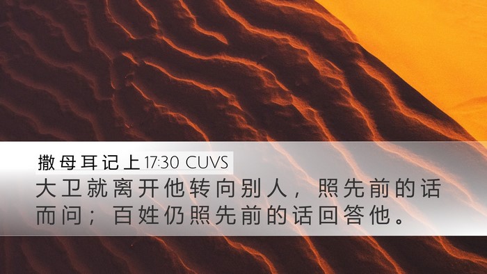 撒 母 耳 记 上 17:30 CUVS Desktop Wallpaper - 大 卫 就 离 开 他 转 向 别 人 ， 照 - Desktop Bible Verse Wallpaper