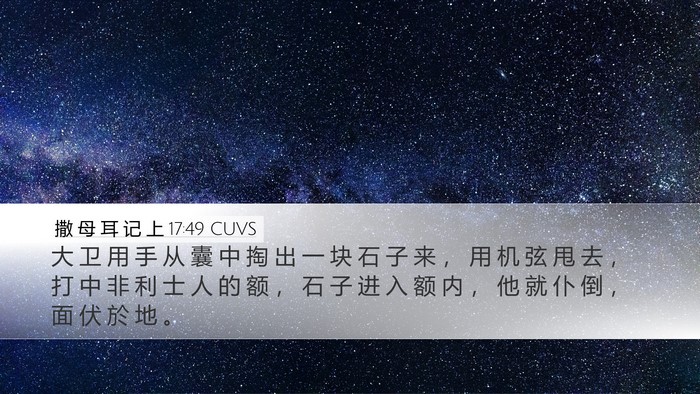 撒 母 耳 记 上 17:49 CUVS Bible Verse Image