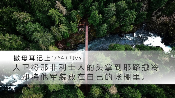 撒 母 耳 记 上 17:54 CUVS Bible Verse Image