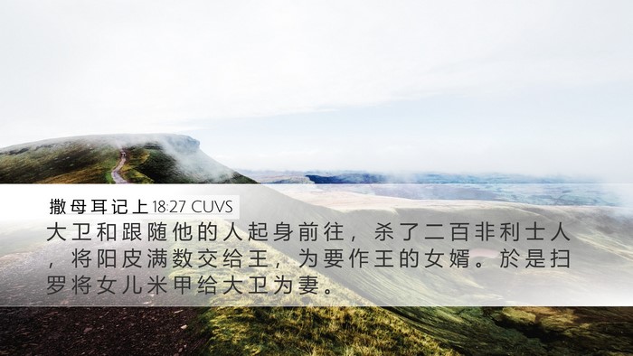 撒 母 耳 记 上 18:27 CUVS Bible Verse Image
