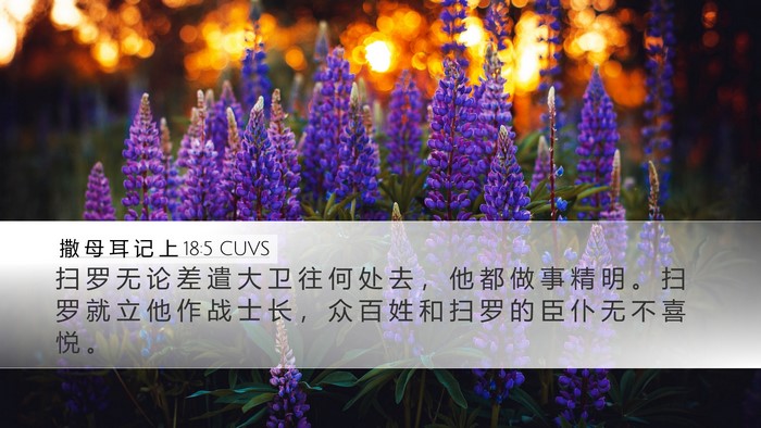 撒 母 耳 记 上 18:5 CUVS Bible Verse Image