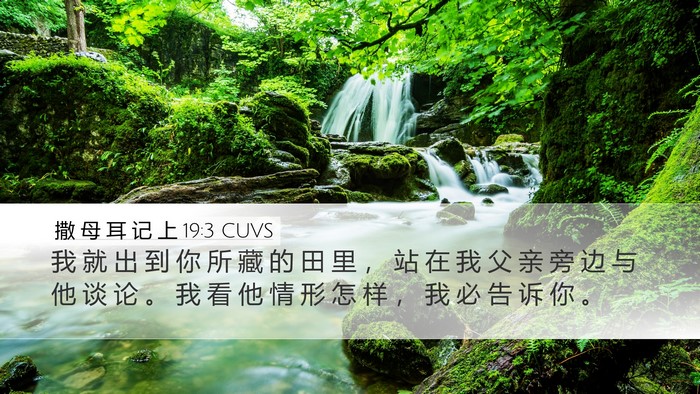 撒 母 耳 记 上 19:3 CUVS Bible Verse Image